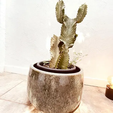 Le Patio, Jardin Privatif, Tennis * Nimes