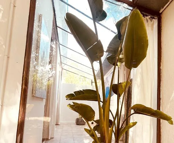 Le Patio, Jardin Privatif, Tennis *